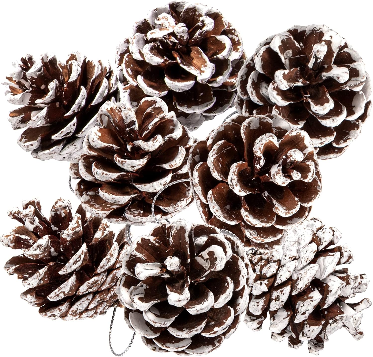 Whaline 25Pcs Christmas Natural Pine Cones Bulk Rustic Snow Pinecones with String Pine Cone Pendant Winter Holiday Hanging Ornament for Xmas Tree Gift Tag Party Decoration, 1.6-2 Inch
