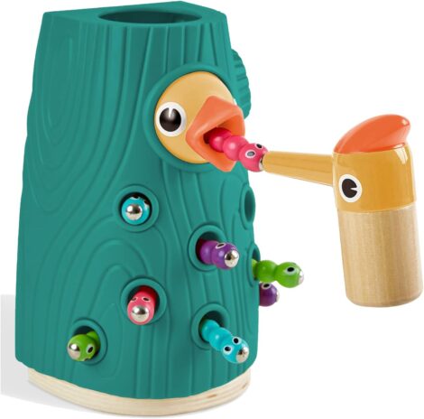 Magnetic Bird Toys for Toddlers – Fun Learning Games for 2-4 Year Olds