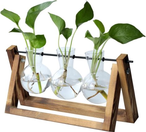 Plant Propagation Station – Garden Gifts for Women – Indoor Birthday, Mother’s Day, Anniversary Presents.