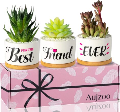 Aujzoo Friendship Gifts for Women – Garden Decor Succulent Pots, Birthday & Housewarming Present