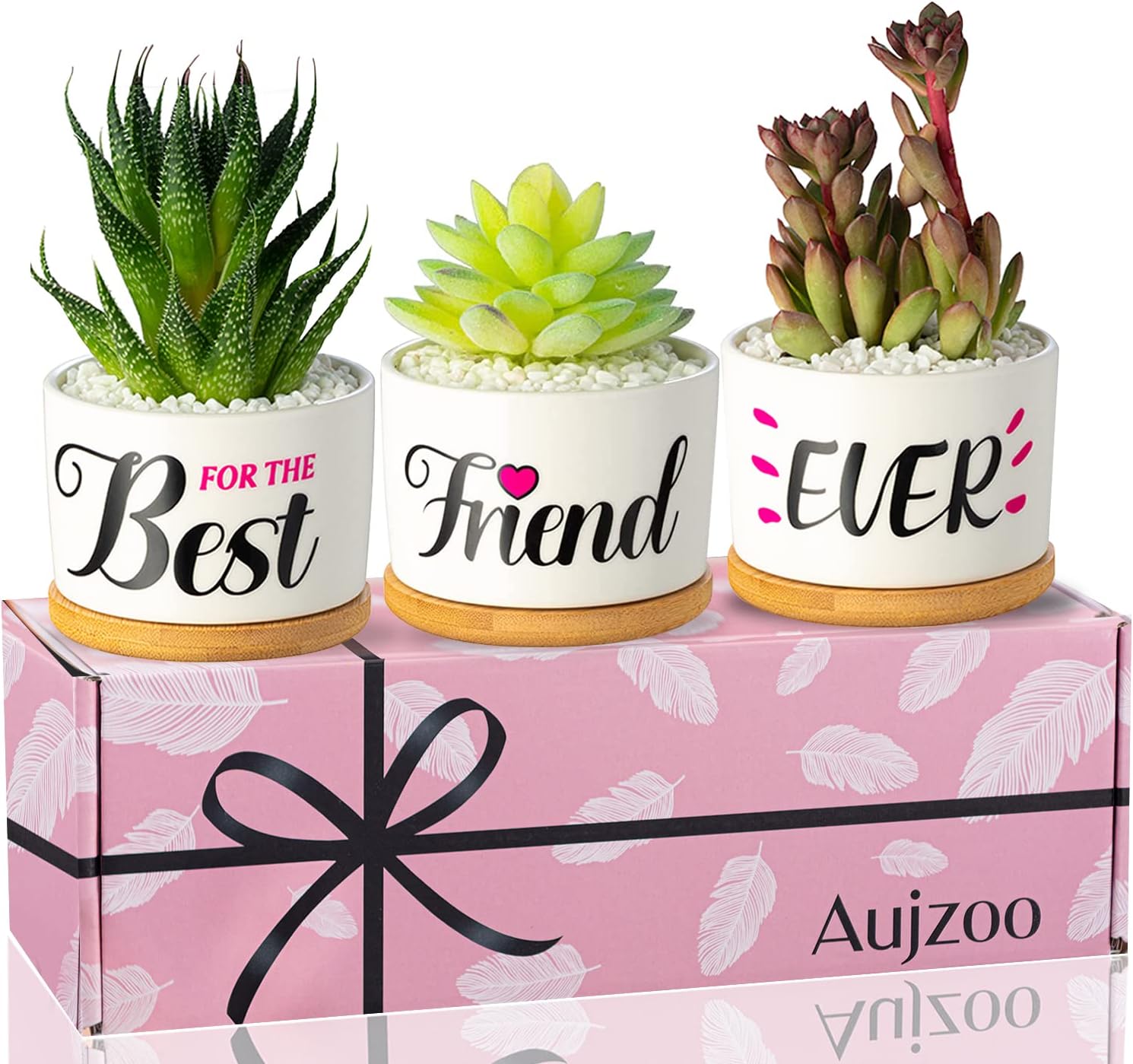 Aujzoo Gifts For Friends Friendship Gifts for Women For Friends Her Housewarming Gift Birthday Gift, Garden Decor Planter Succulent Pots