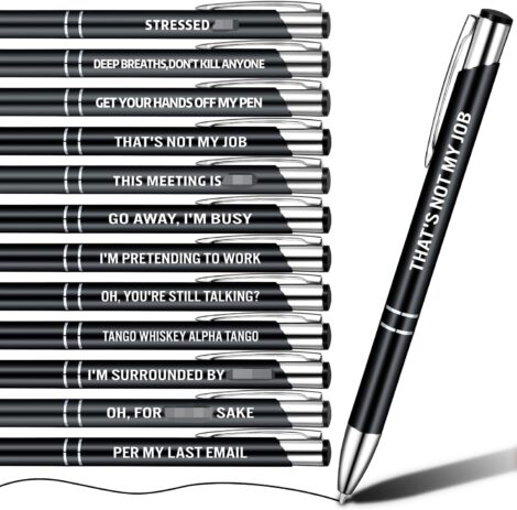 12 Pack Funny Ballpoint Pens with Cheeky and Quirky Designs – Perfect Office Accessories Gift