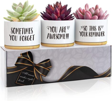 Women’s 50th Birthday Gifts: Unique Presents for Her, Garden-themed Succulent Pots.