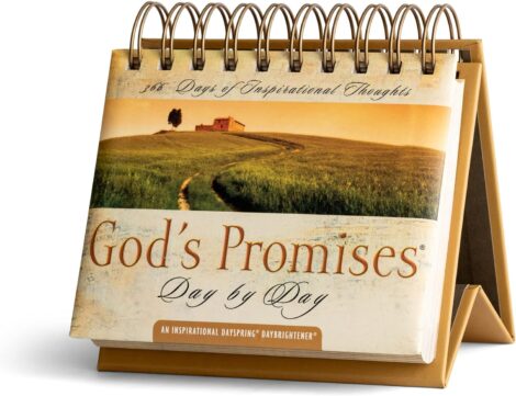 DaySpring God’s Promises Flip Calendar, Brown – 77872.