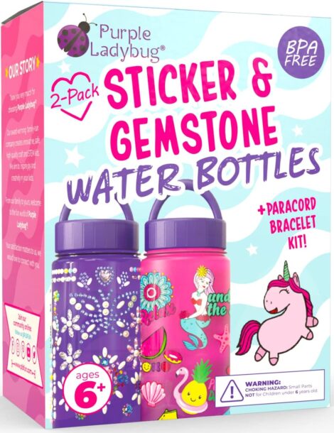 Purple Ladybug DIY Water Bottle Craft Kit for Girls, Ages 6+. Fun Birthday Gift for Kids 7-10 Years.