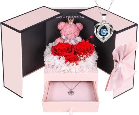 ADDWel Rose Necklace Gift Box, Preserved Roses with 925 Silver Necklace for Her on Special Occasions.