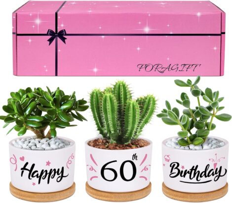 60th birthday gifts for women – beautiful keepsake pots, perfect for friends turning 60 (plants not included).