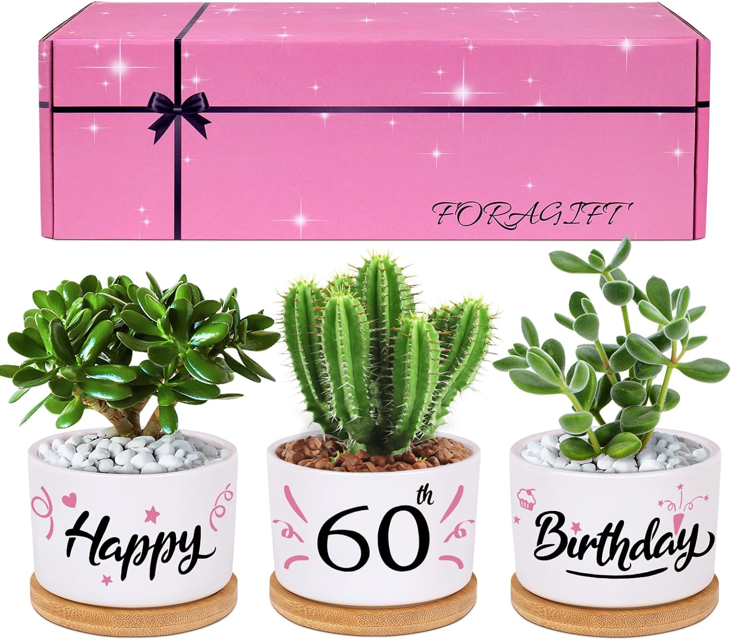 FORAGIFT 60th Birthday Gifts for Women - Beautiful Keepsake 60th Birthday Gifts for Her - Our Pretty Pots are Perfect 60 Year Old Birthday Gifts for Women Friends(Plants Not Included!)