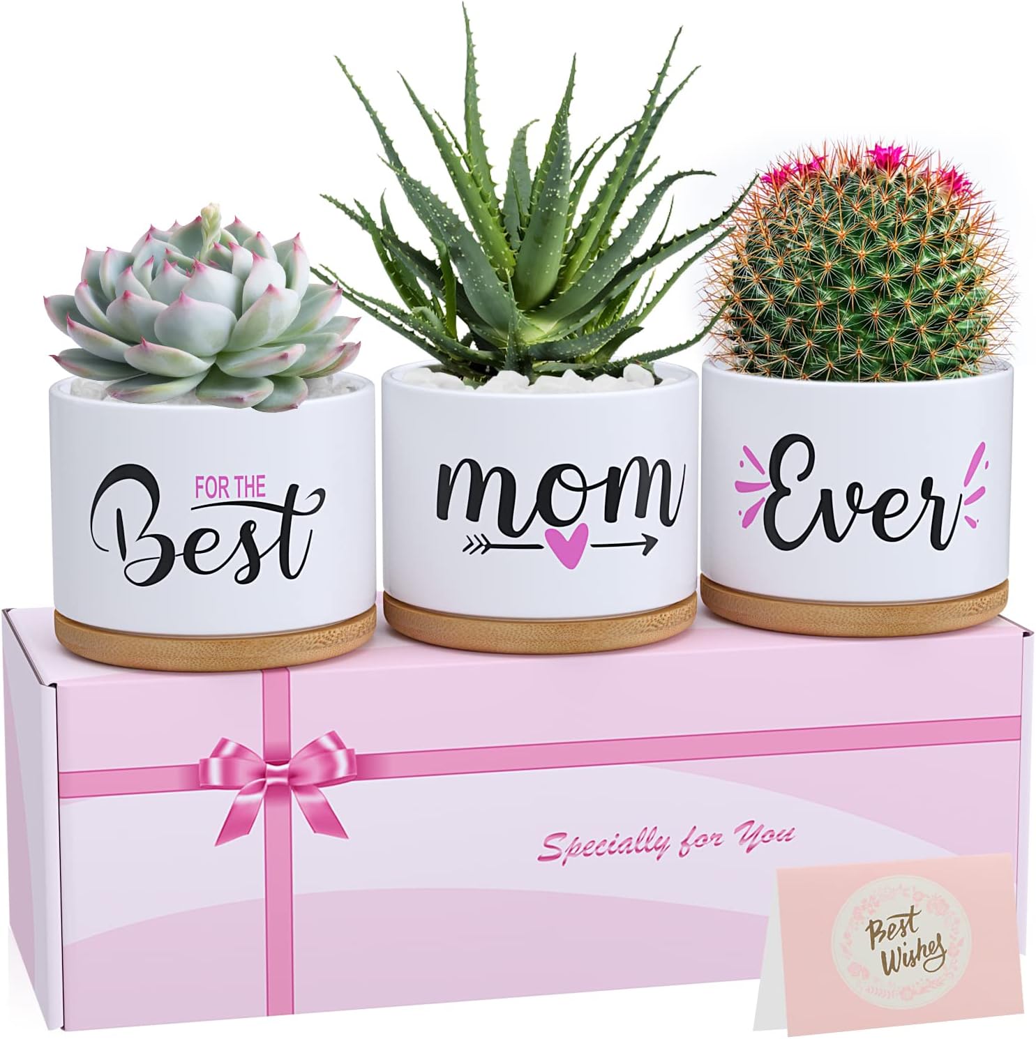 TuDou Gifts for Mum, Mothers Day Birthday Gifts for Mummy from Daughter Son Kids Baby, Unique Best Mum Ever Ceramic Succulent Plant Pots Indoor & Outdoor Planter Gifts for Any Occasion