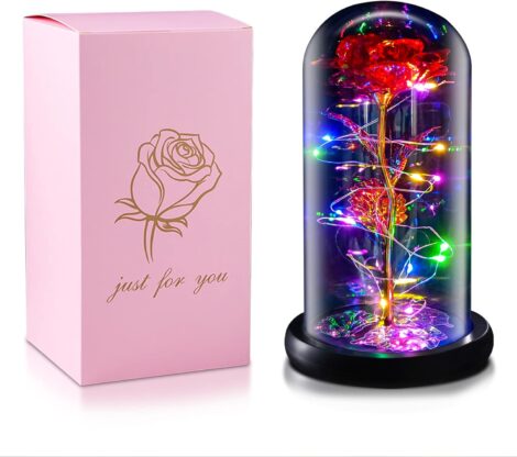 TECHSHARE Beauty and The Beast Rose: Special Gifts for Women on Various Occasions (Red).