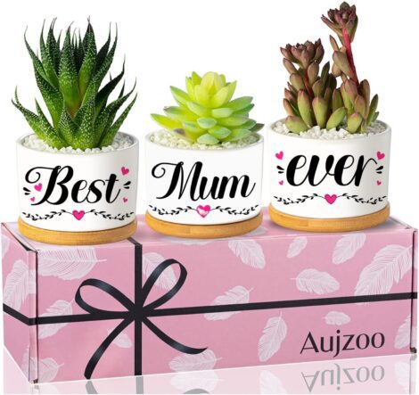 Creative Succulent Pots: Perfect Mum Gifts for Birthday, Christmas, Mother’s Day, Garden Decor.