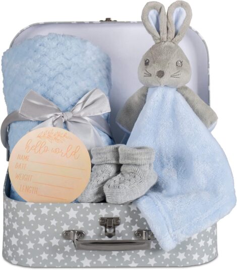 Hoolaroo New Baby Hamper: Unique Blue Bunny Set for Newborn Boy in Cute Suitcase