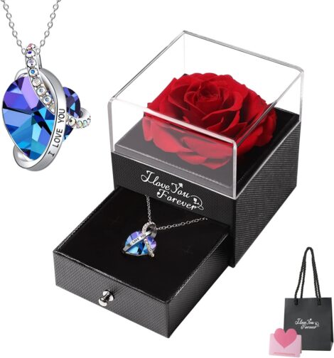 Emibele Preserved Rose and Heart Necklace – Romantic Gift for Her on Special Occasions.