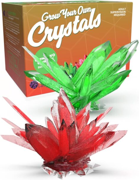 Purple Ladybug Crystal Growing Kit: Grow your own large crystals in green and red. Great gifts for kids and teens.