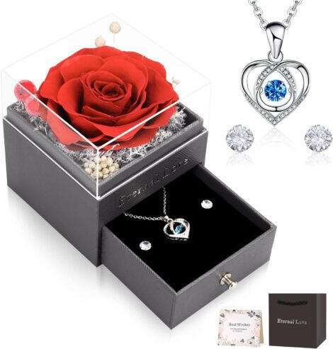 Red Preserved Rose Gift Set: Eternal Flowers with Necklace and Earrings, Ideal for Mom’s Birthday or Anniversary.