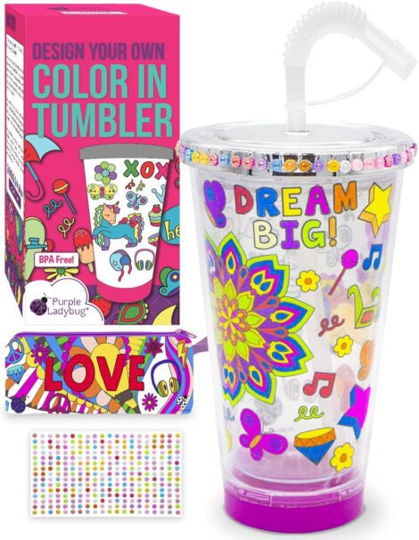 Purple Ladybug Color-in Tumbler Craft Kit – Perfect Gift for 10-Year-Old Girls and Kids of All Ages