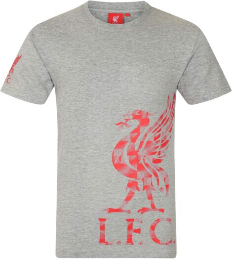 Liverpool FC Graphic Boys T-Shirt: Official Football Gift for Kids