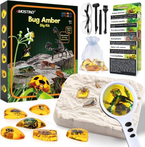 Amber Gemstone Dig Kit: Educational Science Kit for Age 6+ Kids, Crystals and Gemstones Gift.