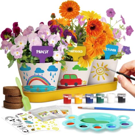 Kids’ Paint Plant Flower Growing Kit: Grow Your Own Flower Garden with Art and Craft Kits. (13 words)