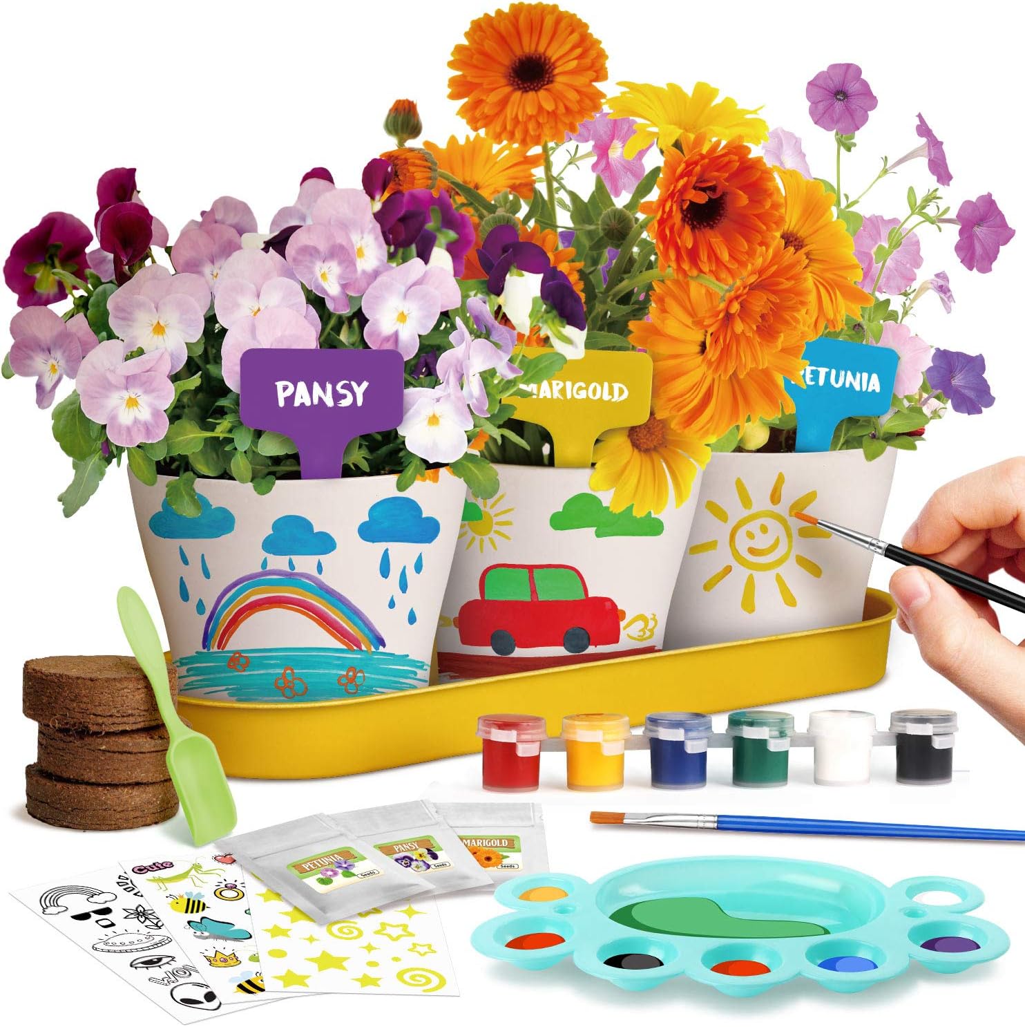 Paint Plant Flower Growing Kit for Kids Flower Growing Gardening Gifts Art and Craft Painting Kits for Kid age 7 8 9 10 11 Grow Your Own Flower Garden