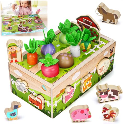 Montessori Wooden Sensory Toys: Educational Gift for 6-12 months to 3-year-old boys and girls.