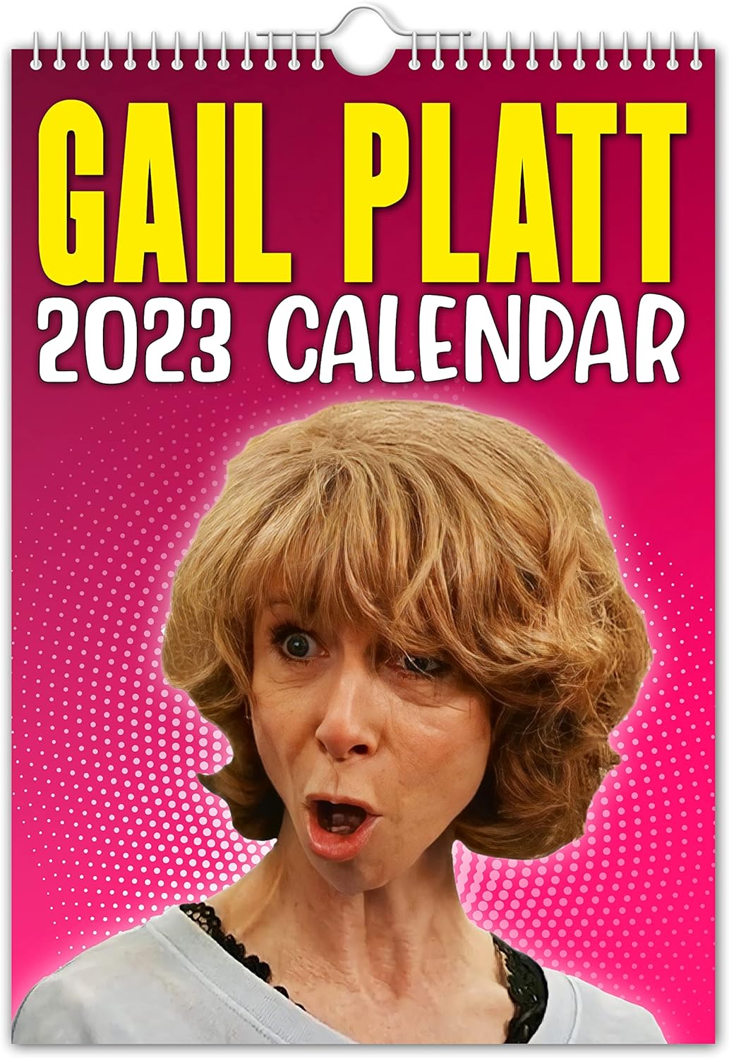 Gail Platt - 2023 Wall Calendar // Funny/Quirky/Christmas/Birthday/Gift Idea/Present/Novelty/Humour/Secret Santa/Year Planner/Office Gift
