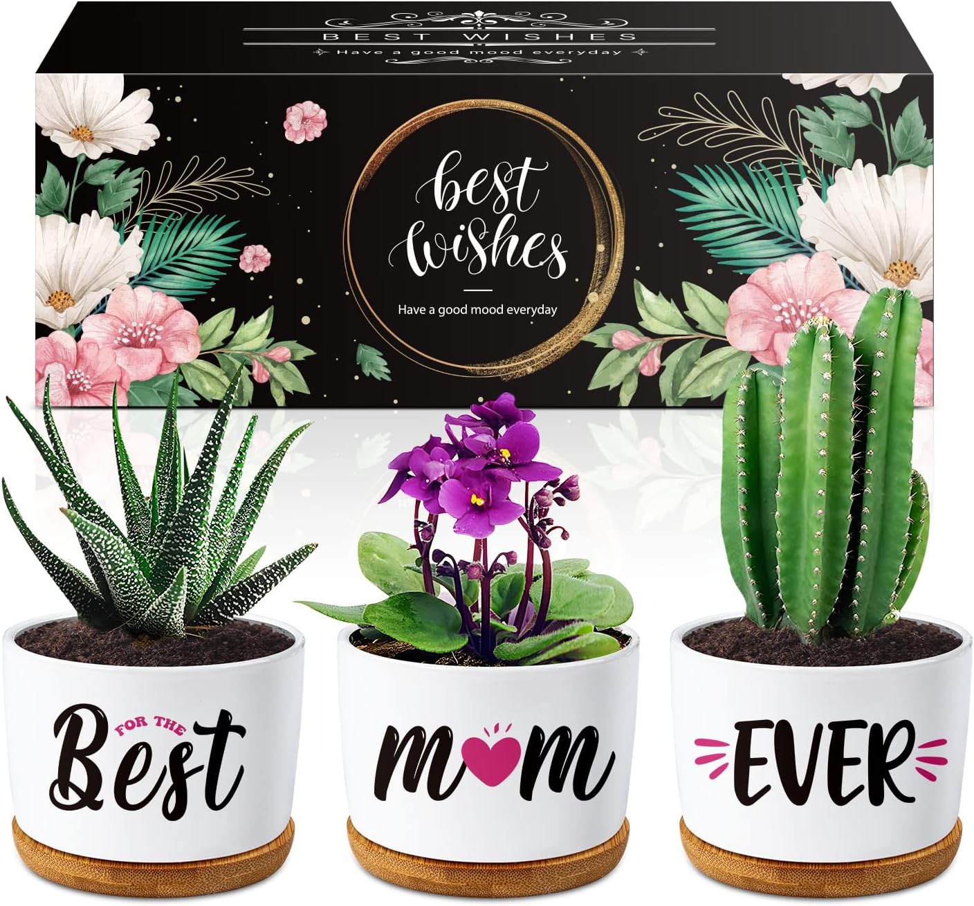 Gifts for Mum, for Mum Succulent Planters Pot, Mum Birthday Gifts from Daughter or Son, New Mum/Step Mum/Mummy Gifts for Birthday Christmas with Beautifully Gift Boxed