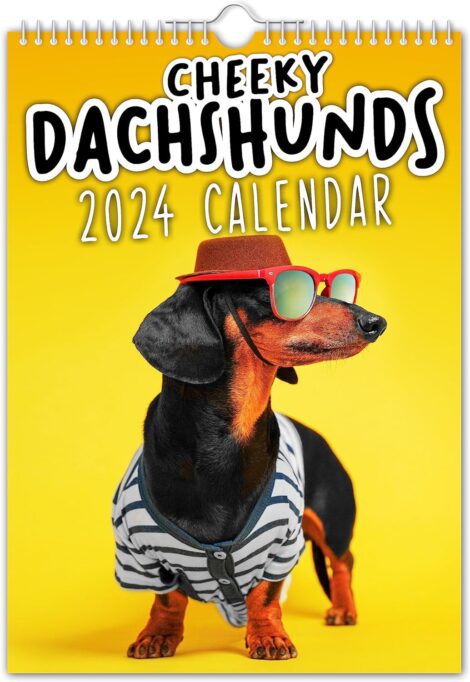 2024 Dachshunds Wall Calendar – Funny Holiday Gift, Year Planner, Office Novelty