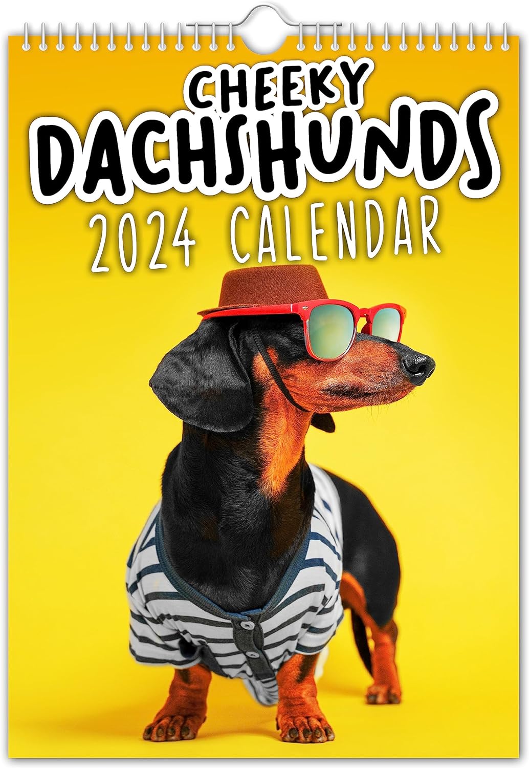 Cheeky Dachshunds - 2024 Wall Calendar // Funny/Quirky/Christmas/Birthday/Gift Idea/Present/Novelty/Humour/Secret Santa/Year Planner/Office Gift