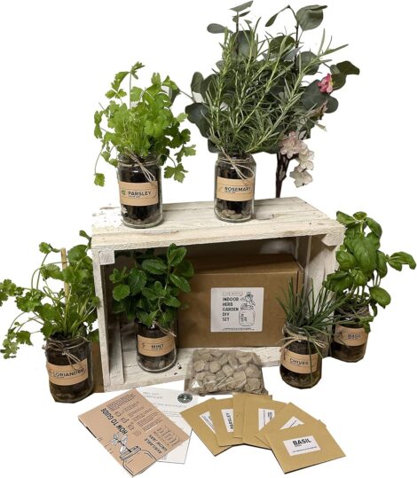 3 Jar Indoor Herb Garden Kit – Grow Your Own Herbs – Perfect Gift for Women or Men