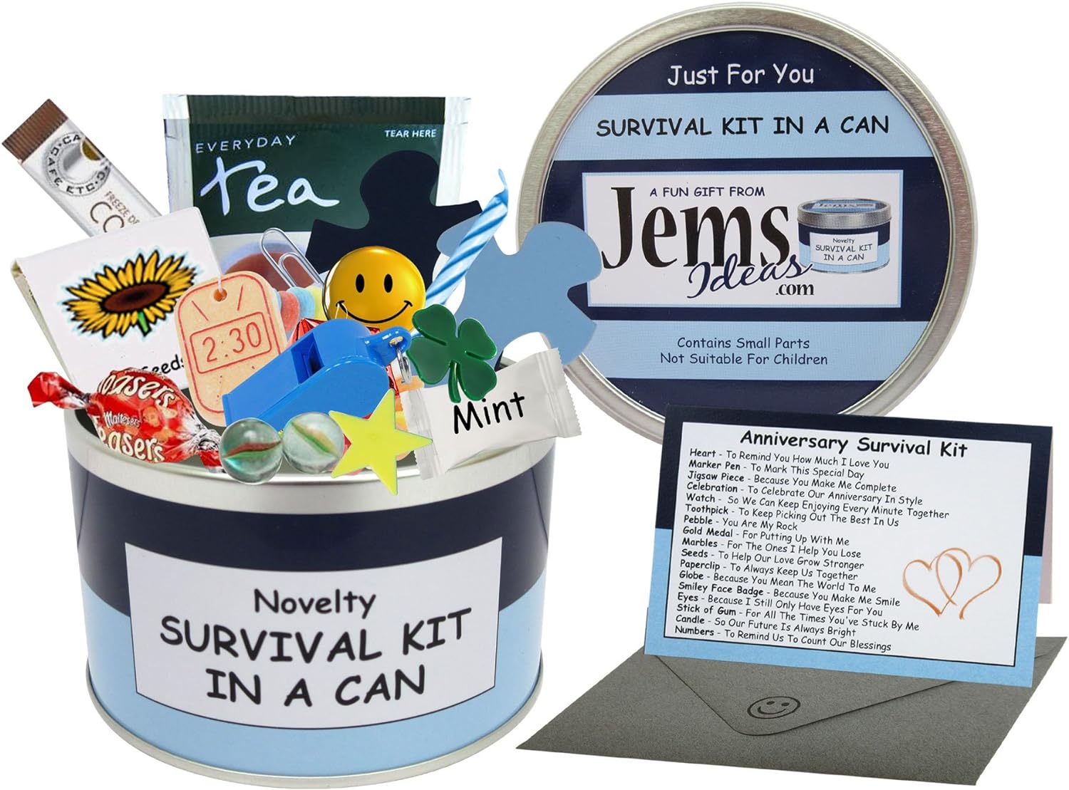 Anniversary Survival Kit In A Can. Humorous Novelty Gift - Male Anniversary or Wedding Anniversary Present & Card All In One. Gifts For Him/Gifts For Men. Boyfriend, Fiance, Friend, Husband, Partner. Customise Your Can Colour. (Blue/Navy)