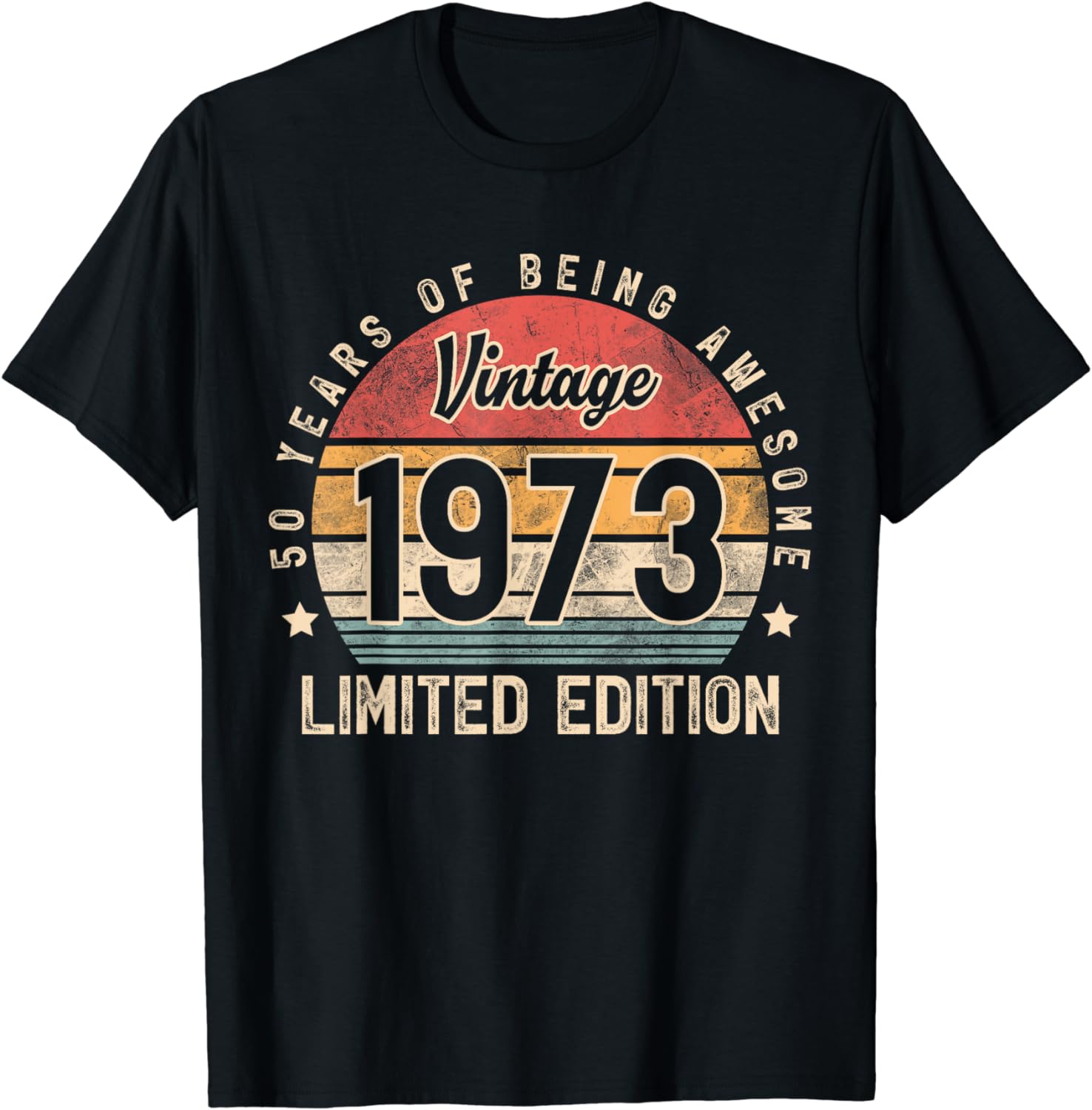 Vintage 1973 50 Year Old Gifts for Men Women 50th Birthday T-Shirt